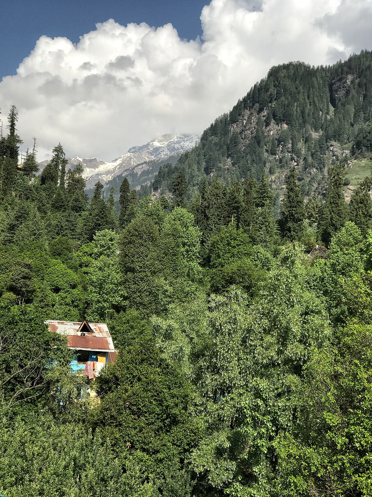 Manali, Himachal Pradesh